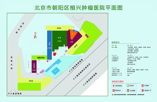 重口味儿操逼的免费视频。北京市朝阳区桓兴肿瘤医院平面图